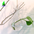 glass vase blown hydroponic glass terrarium vase wholesale